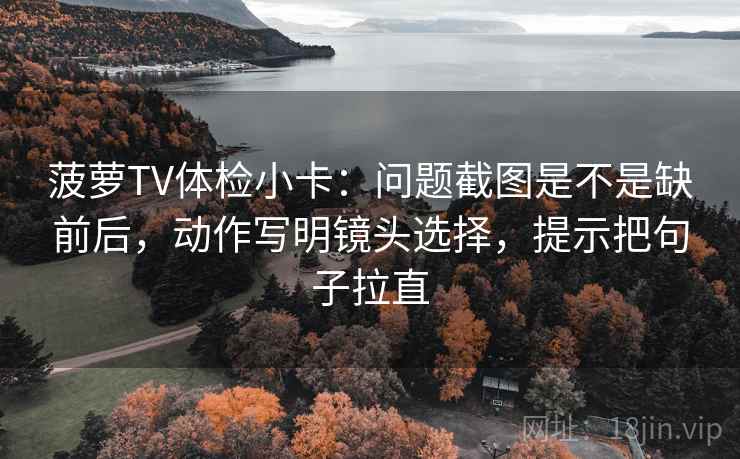 菠萝TV体检小卡：问题截图是不是缺前后，动作写明镜头选择，提示把句子拉直